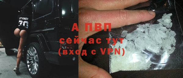 шишки Богородицк