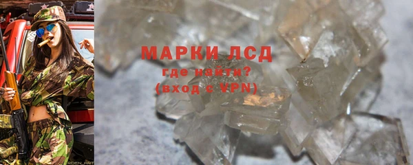 шишки Богородицк