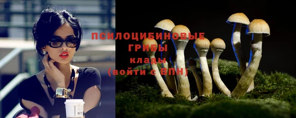 ПСИЛОЦИБИНОВЫЕ ГРИБЫ Бугульма