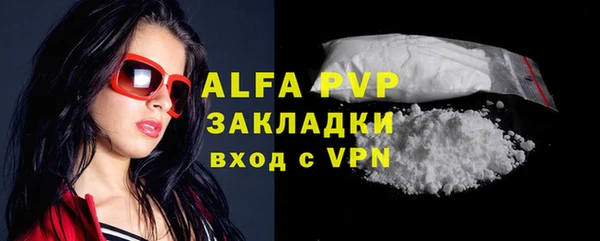 шишки Богородицк