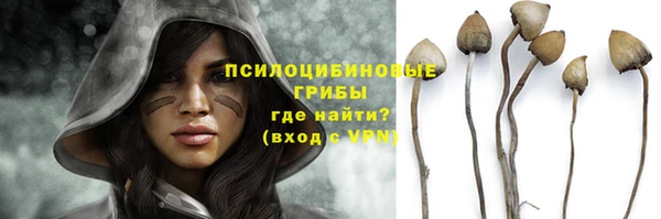 ПСИЛОЦИБИНОВЫЕ ГРИБЫ Бугульма