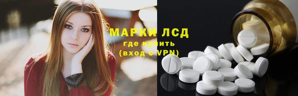 шишки Богородицк