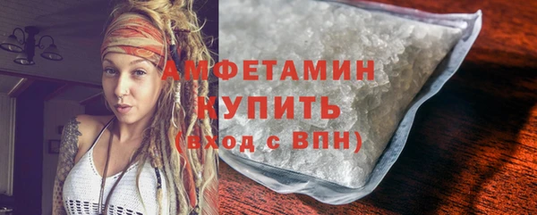 шишки Богородицк
