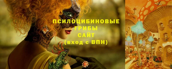 спайс Богородск
